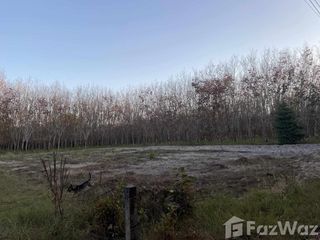 For sale land in Tha Uthen, Nakhon Phanom