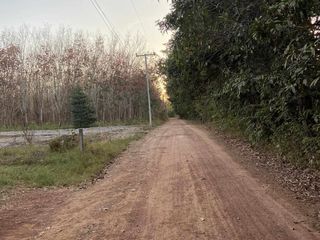 For sale land in Tha Uthen, Nakhon Phanom