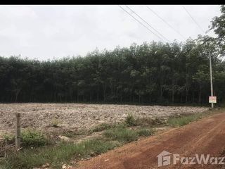 For sale land in Tha Uthen, Nakhon Phanom