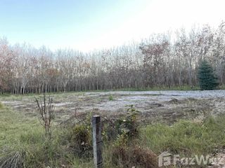 For sale land in Tha Uthen, Nakhon Phanom