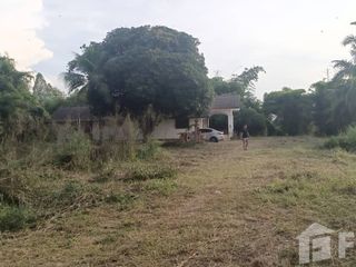 For sale land in Pho Thale, Phichit