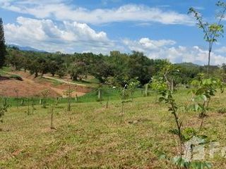 For sale land in Khao Kho, Phetchabun