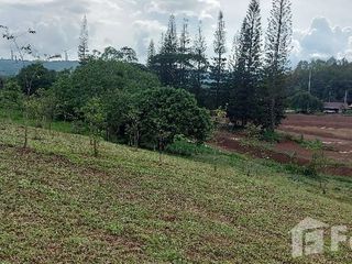 For sale land in Khao Kho, Phetchabun