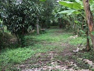 For sale land in Mueang Ratchaburi, Ratchaburi