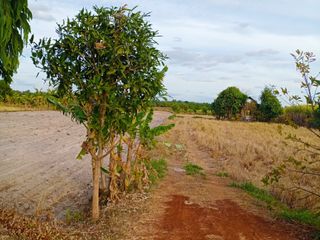 For sale land in Kuchinarai, Kalasin