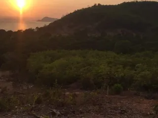 For sale land in Ko Yao, Phang Nga
