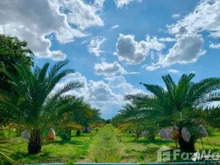 For sale land in Nong Ya Sai, Suphan Buri