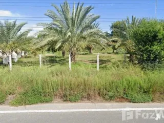 For sale land in Nong Ya Sai, Suphan Buri