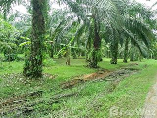 For sale land in Mueang Chumphon, Chumphon