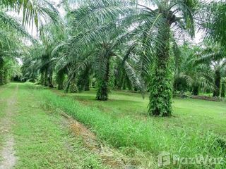 For sale land in Mueang Chumphon, Chumphon