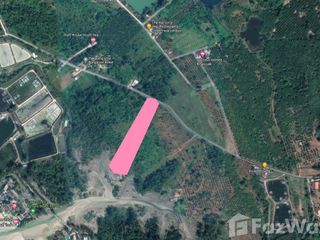 For sale land in Takua Pa, Phang Nga