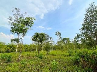 For sale land in Khao Saming, Trat