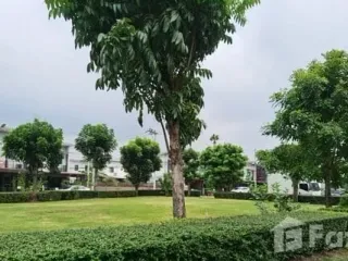For rent 3 bed townhouse in Mueang Pathum Thani, Pathum Thani