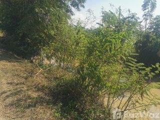 For sale land in Phan, Chiang Rai