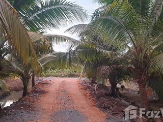For sale land in Damnoen Saduak, Ratchaburi