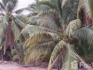 For sale land in Damnoen Saduak, Ratchaburi