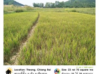 For sale land in Thoeng, Chiang Rai