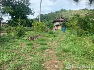 For sale land in Ko Yao, Phang Nga