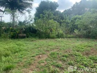 For sale land in Ko Yao, Phang Nga