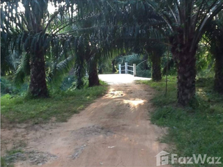 For sale land in Takua Pa, Phang Nga