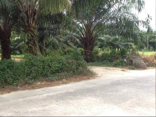 For sale land in Takua Pa, Phang Nga