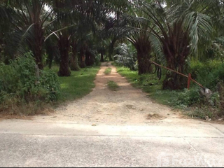 For sale land in Takua Pa, Phang Nga