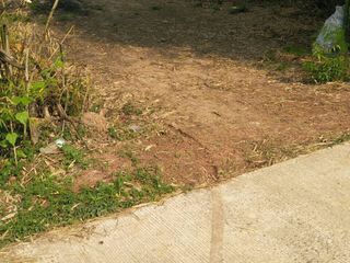 For sale land in Tha Bo, Nong Khai