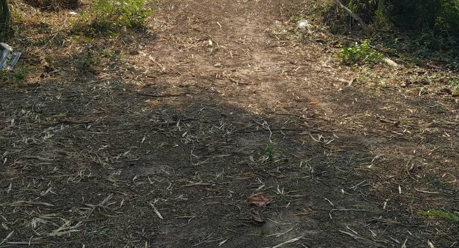 For sale land in Tha Bo, Nong Khai
