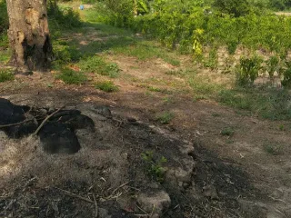 For sale land in Tha Bo, Nong Khai