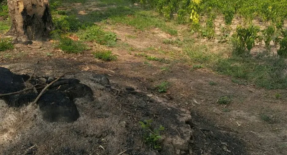 For sale land in Tha Bo, Nong Khai