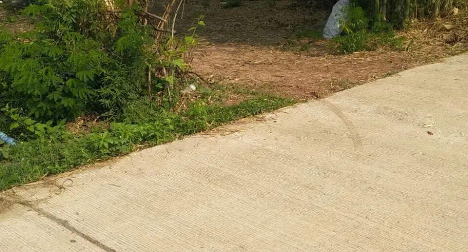 For sale land in Tha Bo, Nong Khai