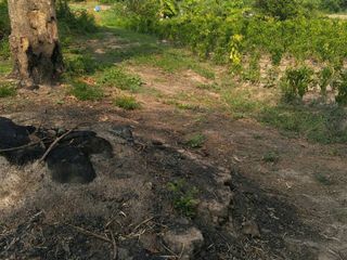 For sale land in Tha Bo, Nong Khai