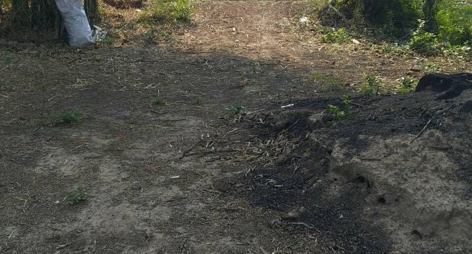For sale land in Tha Bo, Nong Khai