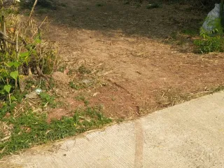 For sale land in Tha Bo, Nong Khai