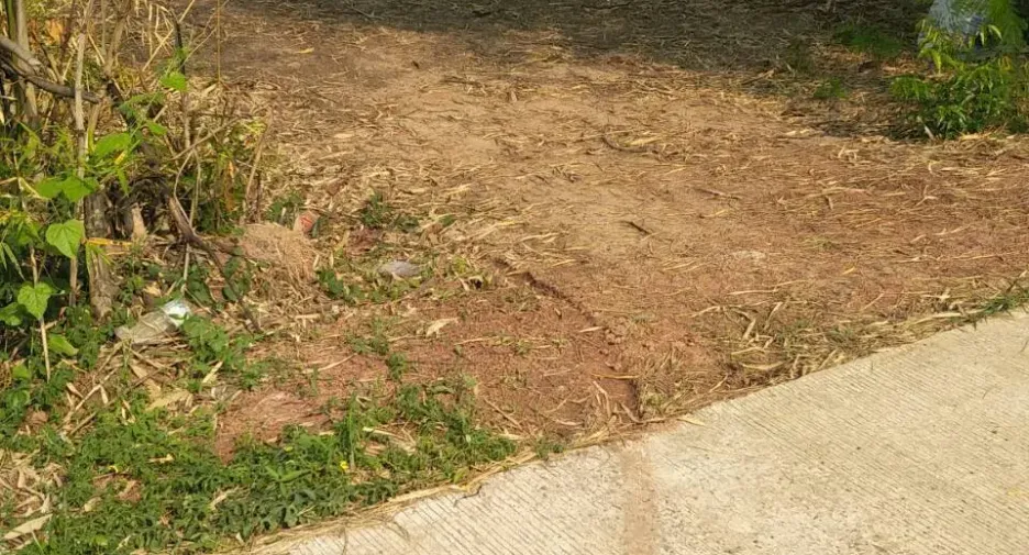For sale land in Tha Bo, Nong Khai