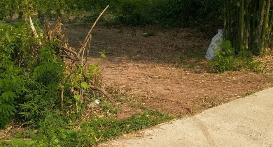 For sale land in Tha Bo, Nong Khai