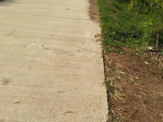 For sale land in Tha Bo, Nong Khai