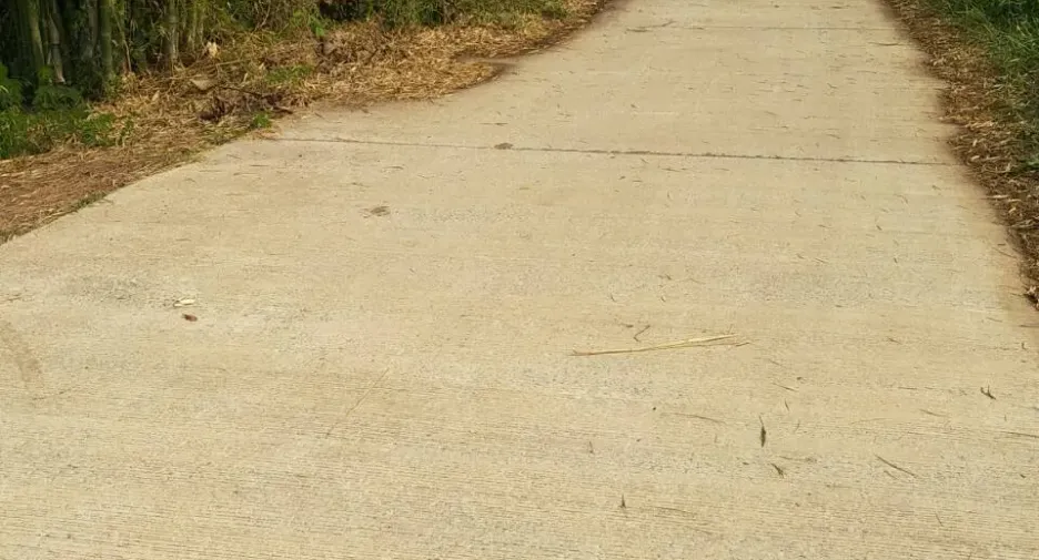 For sale land in Tha Bo, Nong Khai
