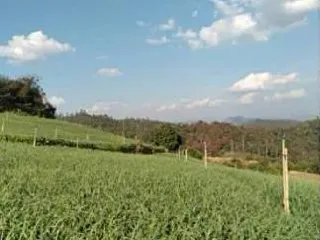 For sale land in Pai, Mae Hong Son