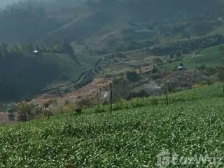 For sale land in Pai, Mae Hong Son