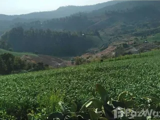 For sale land in Pai, Mae Hong Son