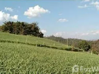 For sale land in Pai, Mae Hong Son