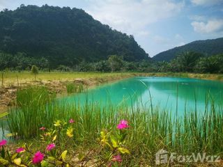 For sale land in Sichon, Nakhon Si Thammarat