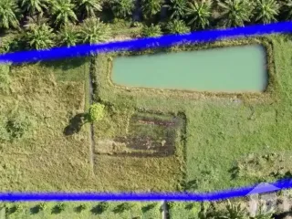 For sale land in Sichon, Nakhon Si Thammarat