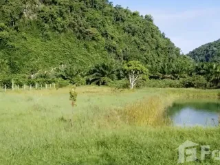 For sale land in Sichon, Nakhon Si Thammarat