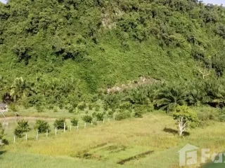 For sale land in Sichon, Nakhon Si Thammarat