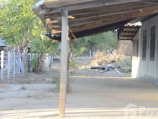 For sale land in Dan Khun Thot, Nakhon Ratchasima