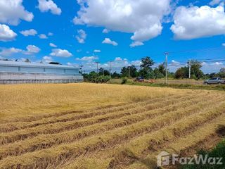 For sale land in Loeng Nok Tha, Yasothon