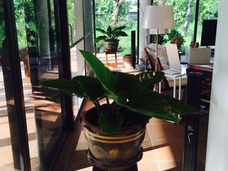 For sale 3 bed house in Aranyaprathet, Sa Kaeo