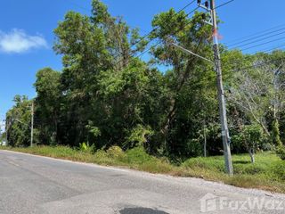 For sale land in Singhanakhon, Songkhla